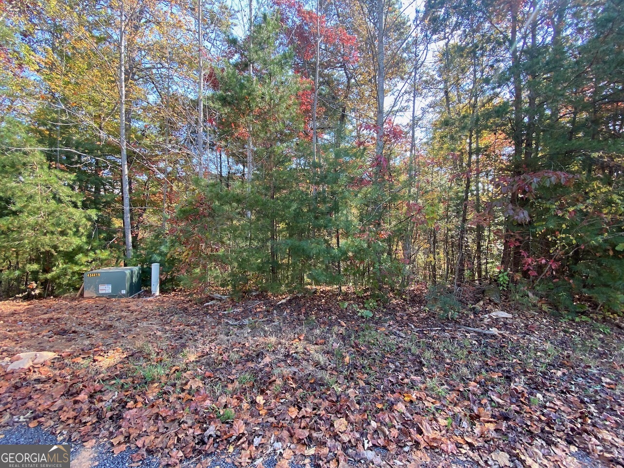 0 Uplander Court Rabun Gap, GA 30568 - Photo 7 of 20 a backyard of a house with lots of green space