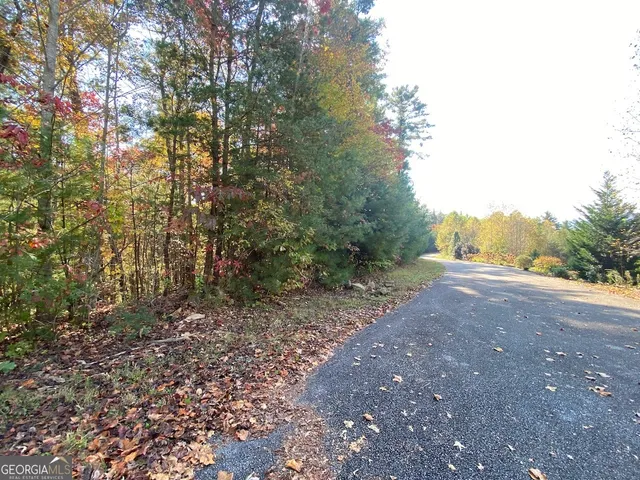 a view of an outdoor space with trees