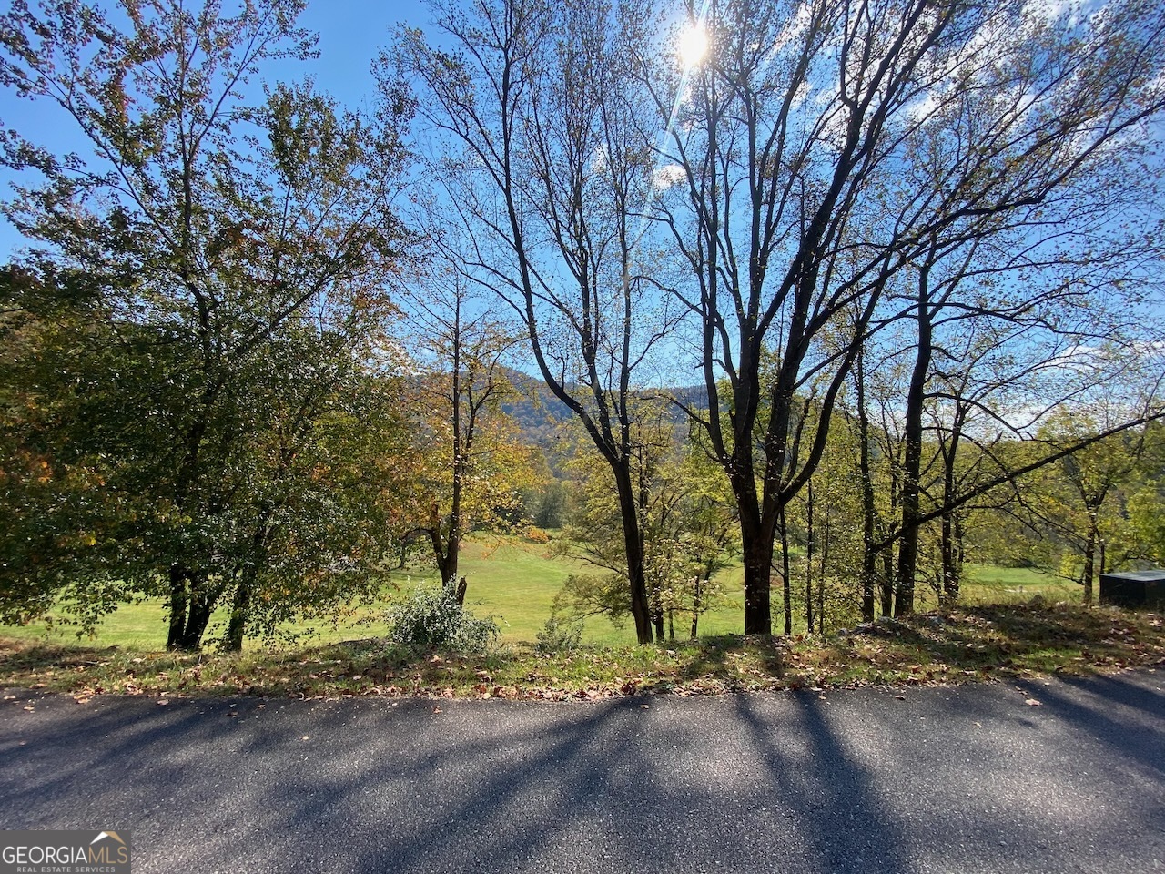 0 Uplander Court Rabun Gap, GA 30568 - Photo 9 of 20 a view of a street with a building and trees