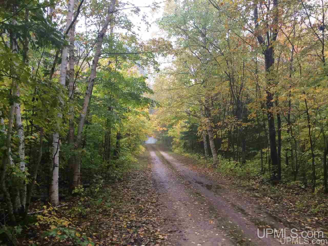 E10602-e10596 Carmody Road Munising, MI 49862 - Photo 42 of 42