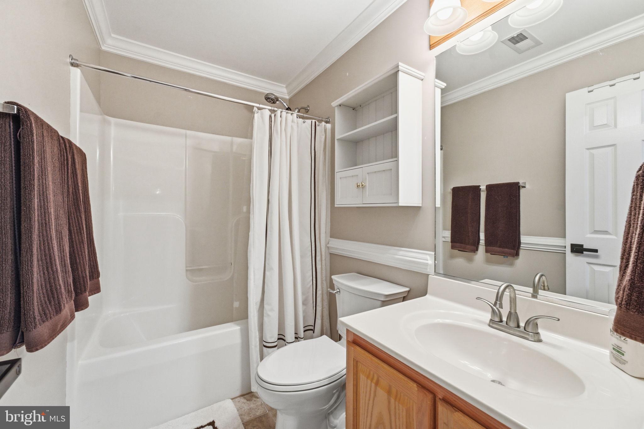 203 Freedom Road Locust Grove, VA 22508 - Photo 43 of 95 Full Hall Bath