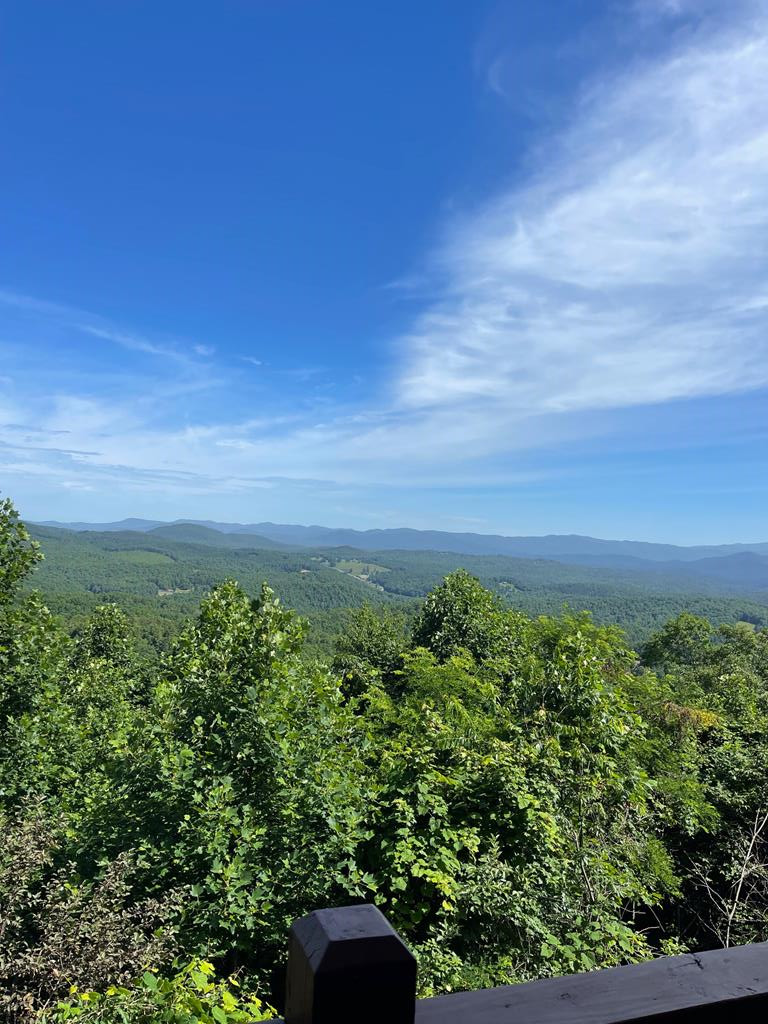 1013 Buck Ridge Drive Murphy, NC 28906 - Photo 12 of 42