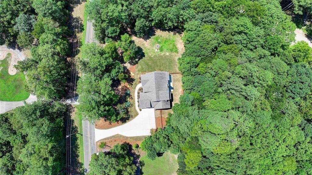 919 Fields Chapel Road Canton, GA 30114 - Photo 3 of 94