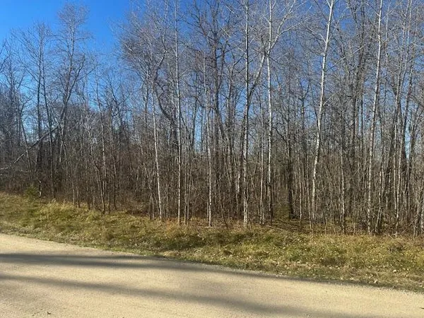 $48,500 | Tbd Crest Court Northeast, Bemidji, MN 56601