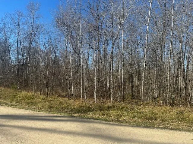 $48,500 | Tbd Crest Court Northeast, Bemidji, MN 56601