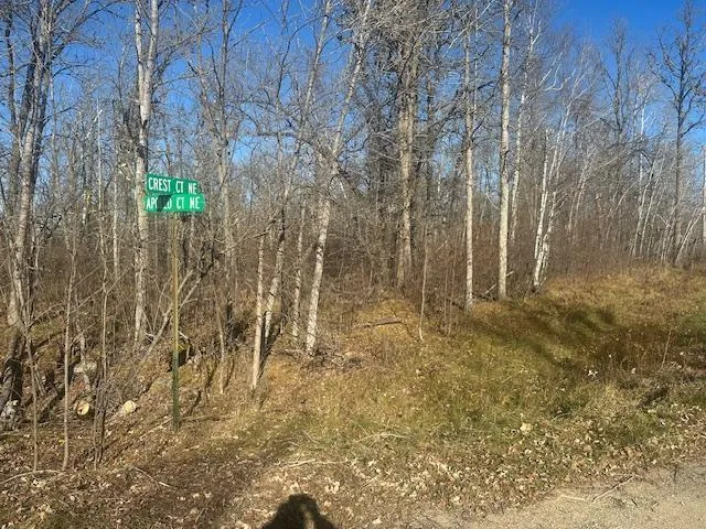 $48,500 | Tbd Crest Court Northeast, Bemidji, MN 56601