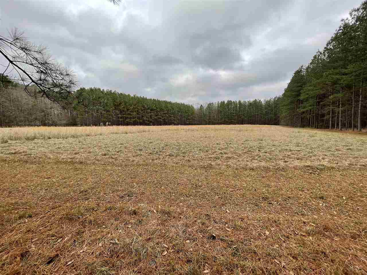 3132 Gatesville Road Crystal Springs, MS 39059 - Photo 33 of 49 Photo 34