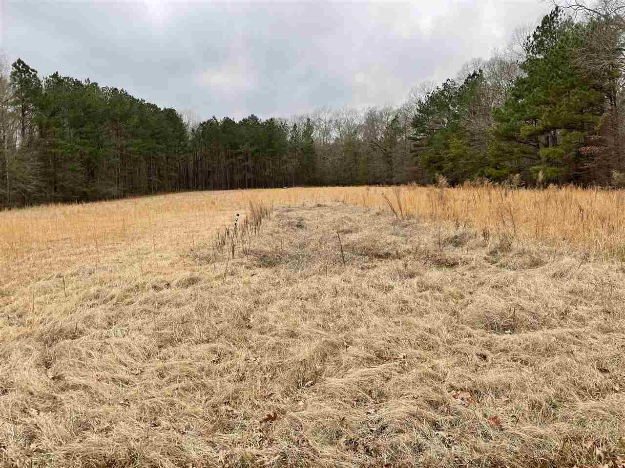 3132 Gatesville Road Crystal Springs, MS 39059 - Photo 36 of 49 Photo 37