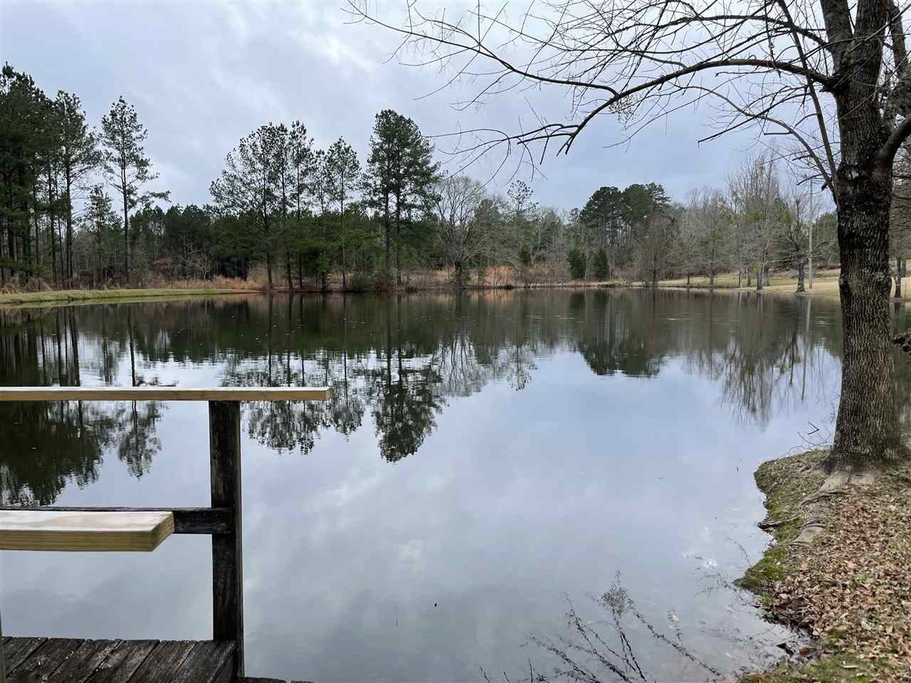 3132 Gatesville Road Crystal Springs, MS 39059 - Photo 7 of 49 Photo 7