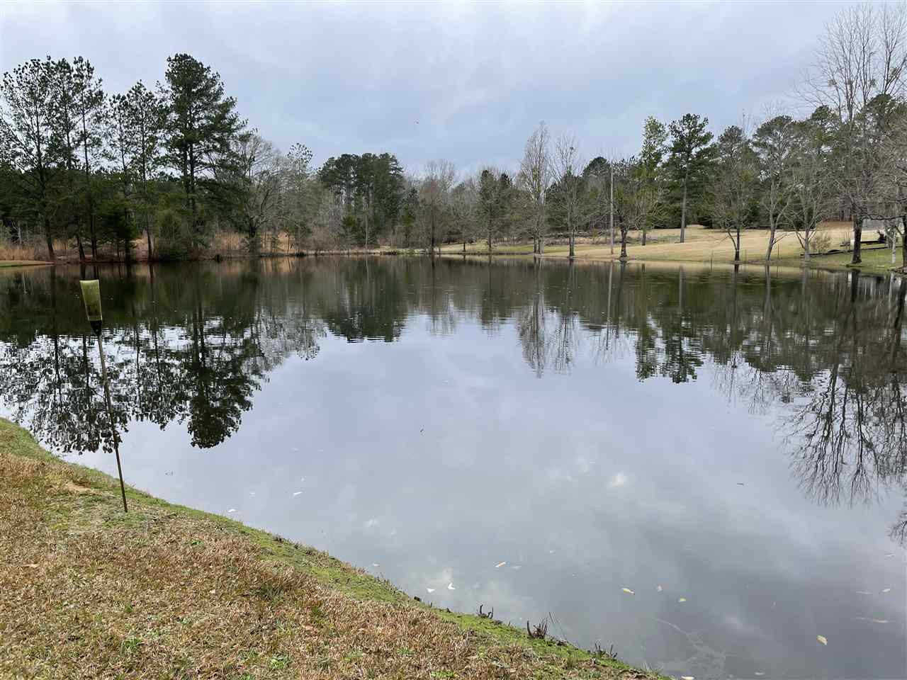 3132 Gatesville Road Crystal Springs, MS 39059 - Photo 9 of 49 Photo 9