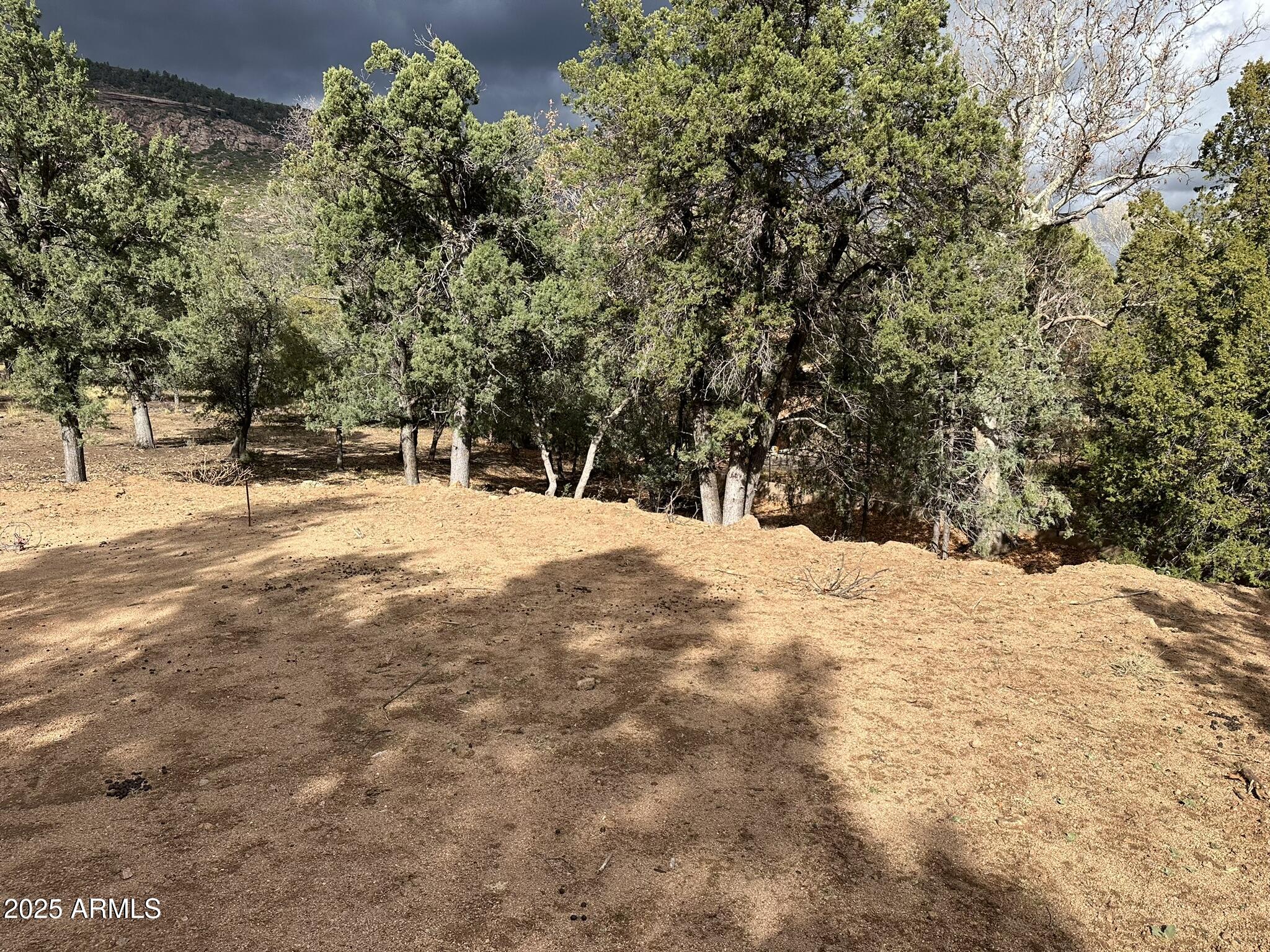 20 Verde Road, Unit 20 & 21 Payson, AZ 85541 - Photo 54 of 75 IMG_1321