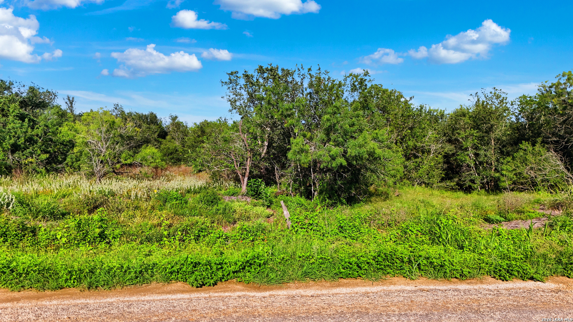 525 Marrou Road Seguin, TX 78155 - Photo 2 of 11