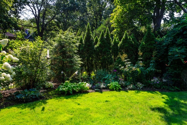 1111 Sheridan Road Wilmette, IL 60091 - Photo 70 of 76 a view of a yard with plants and large trees
