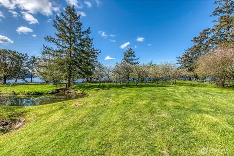 a view of a park with large trees