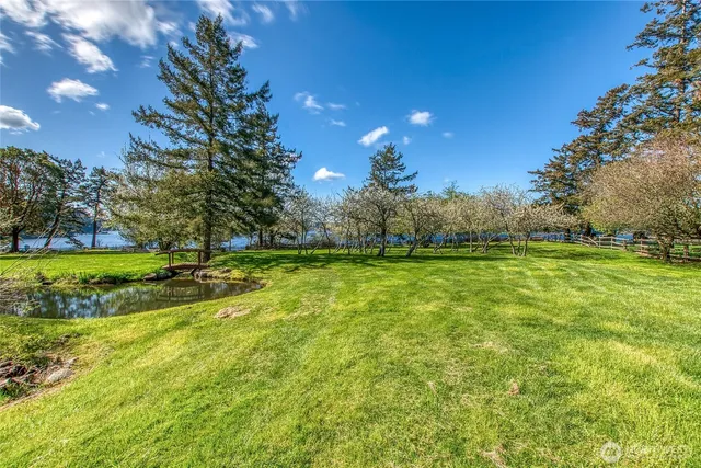 a view of a park with large trees
