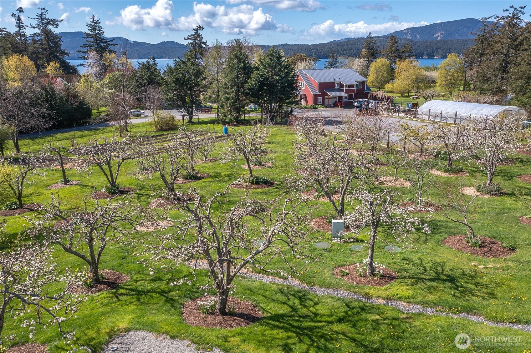 326 Olga Road Orcas Island, WA 98245 - Photo 9 of 39 a backyard of a house with a yard and outdoor seating