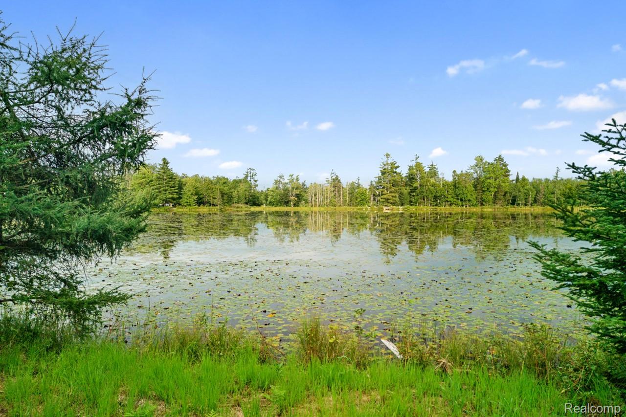 9720 East Kellyville Road Atlanta, MI 49709 - Photo 16 of 34 Water view
