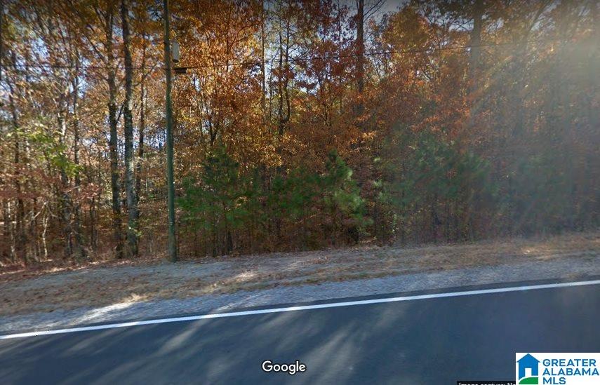 8230 Goodner Mtn Road, Unit 10 Trussville, AL 35173 - Photo 1 of 1