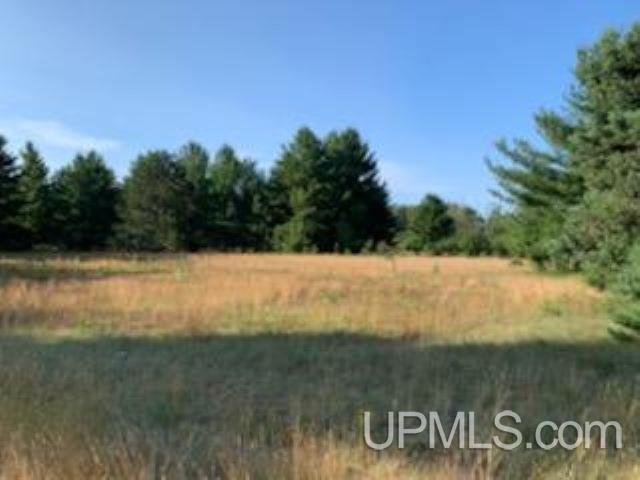 13.75 Rd & M 5 Lane Escanaba, MI 49829 - Photo 4 of 12