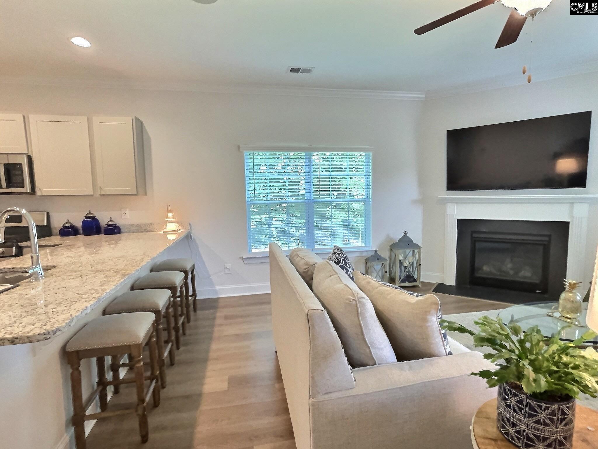 343 Limestone Road Chapin, SC 29036 - Photo 4 of 31