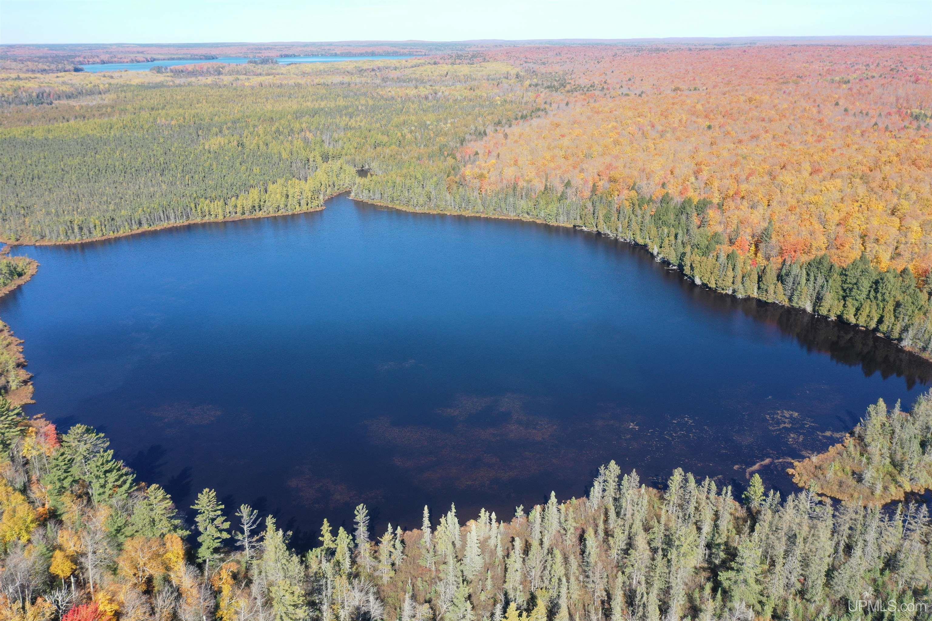 527 Usfs Road Iron River, MI 49935 - Photo 15 of 37