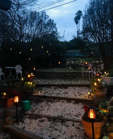 a view of a yard with large trees