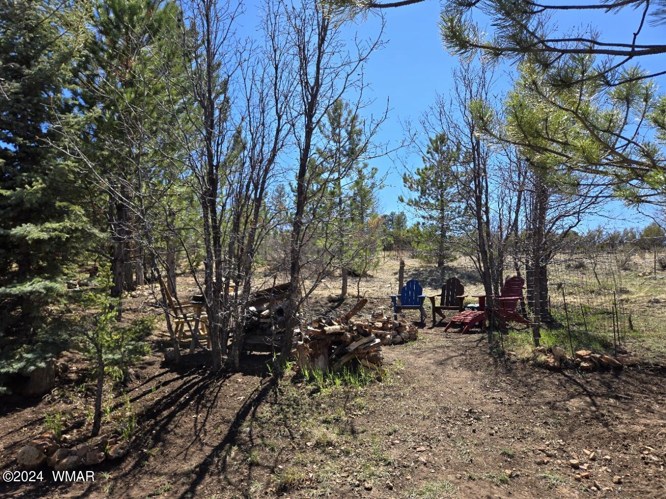 1804 Ansell Road Heber, AZ 85928 - Photo 81 of 120 20240417_142529
