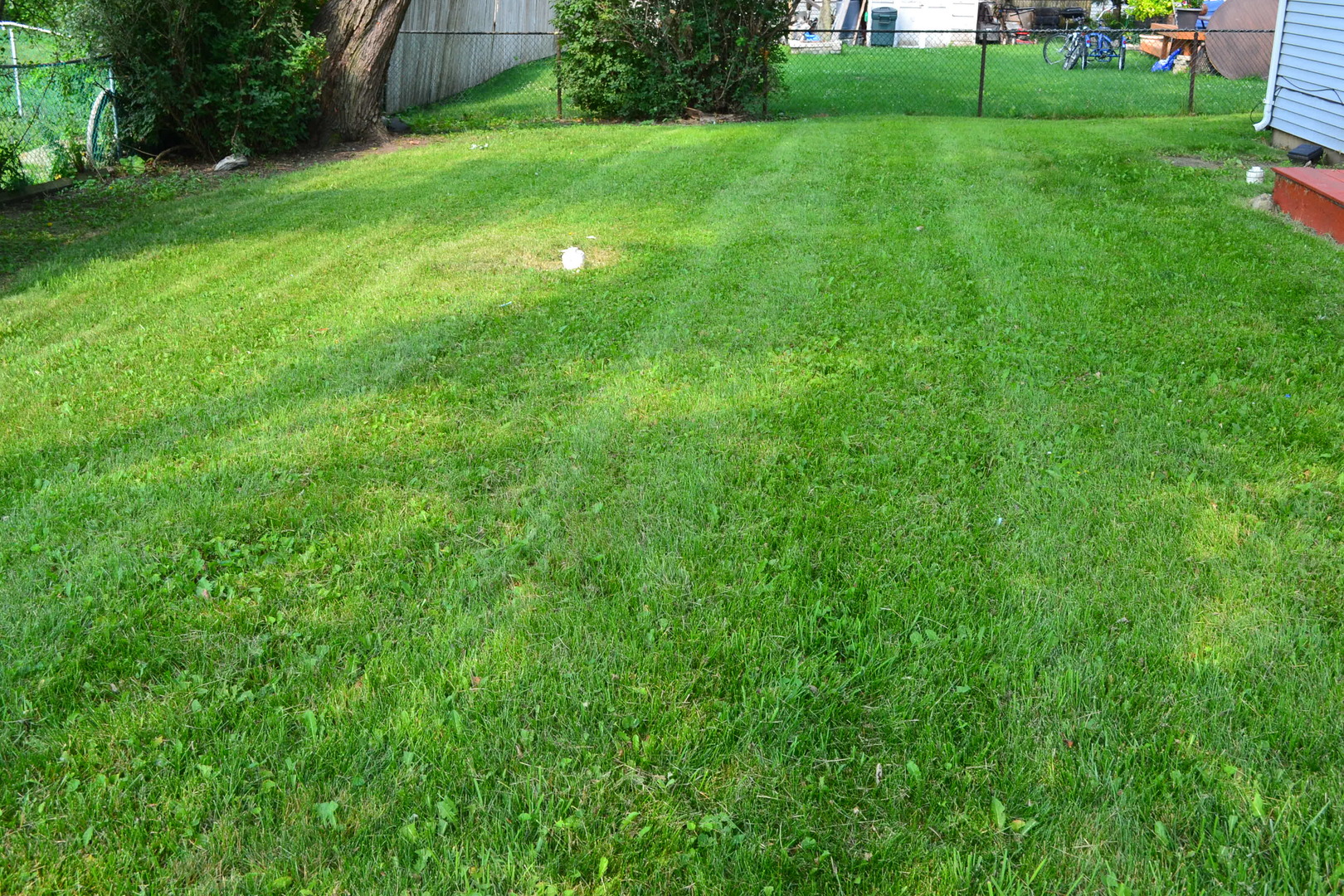 337 Rockhurst Road Bolingbrook, IL 60440 - Photo 22 of 22