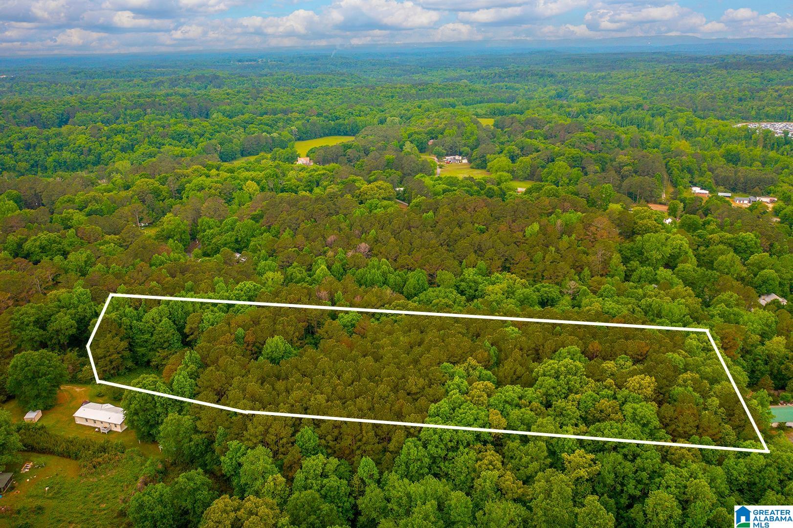 0 Spunky Hollow Road, Unit 1 Trafford, AL 35172 - Photo 3 of 18
