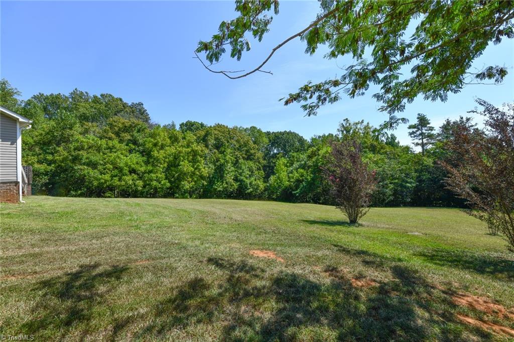 4368 Millers Mill Road Trinity, NC 27370 - Photo 22 of 23