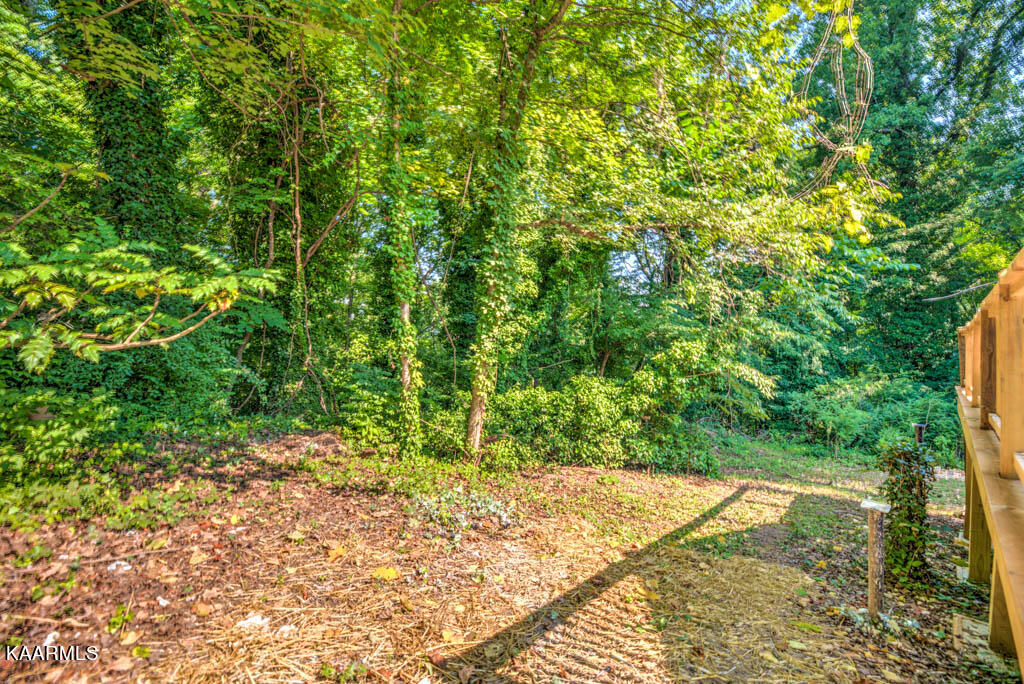 236 Outer Drive Oak Ridge, TN 37830 - Photo 28 of 30 Outer236e (6)