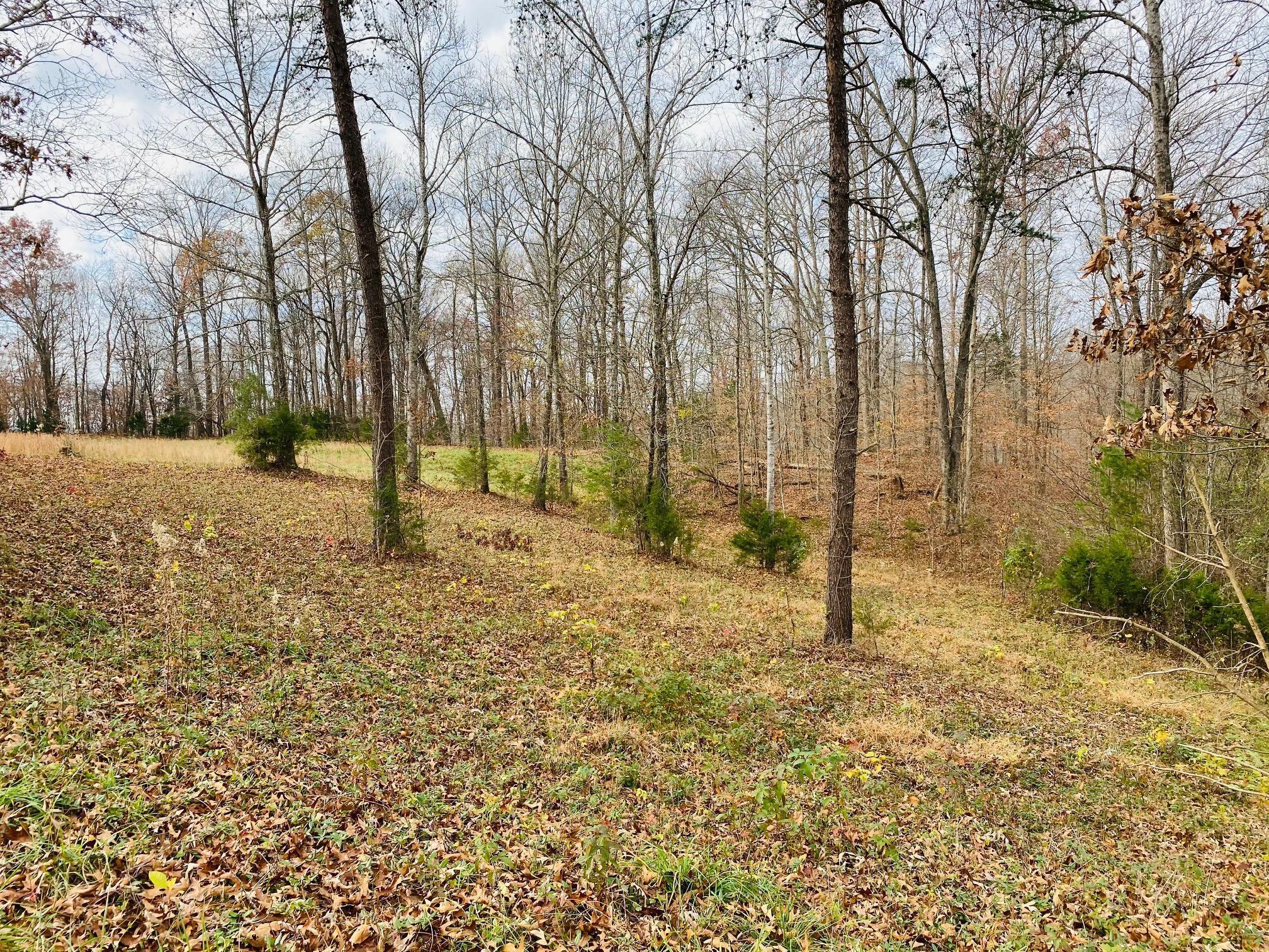 23 Stearns Holw Road Monticello, KY 42633 - Photo 2 of 25 IMG_4696