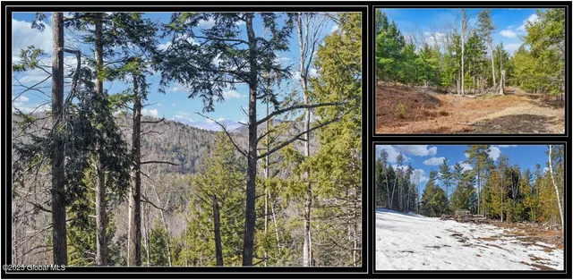 $95,500 | L16 Mountain Meadows Road, Adirondack, NY 12808