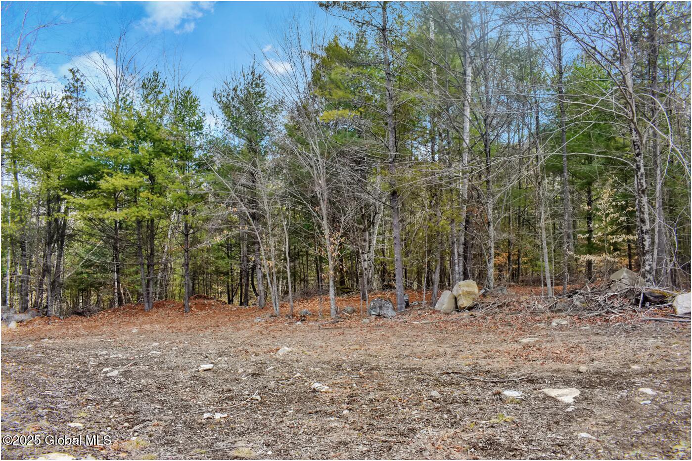 L16 Mountain Meadows Road Adirondack, NY 12808 - Photo 11 of 16 mm26