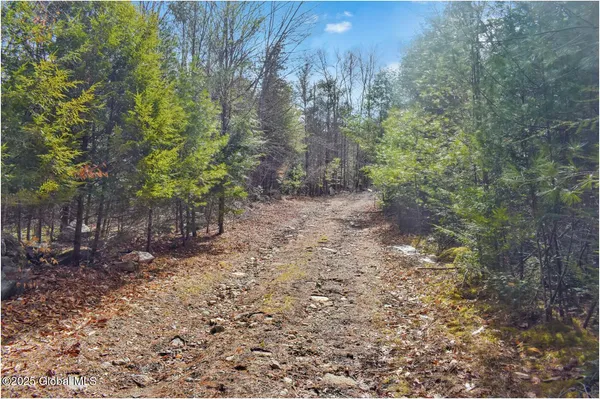$95,500 | L16 Mountain Meadows Road, Adirondack, NY 12808