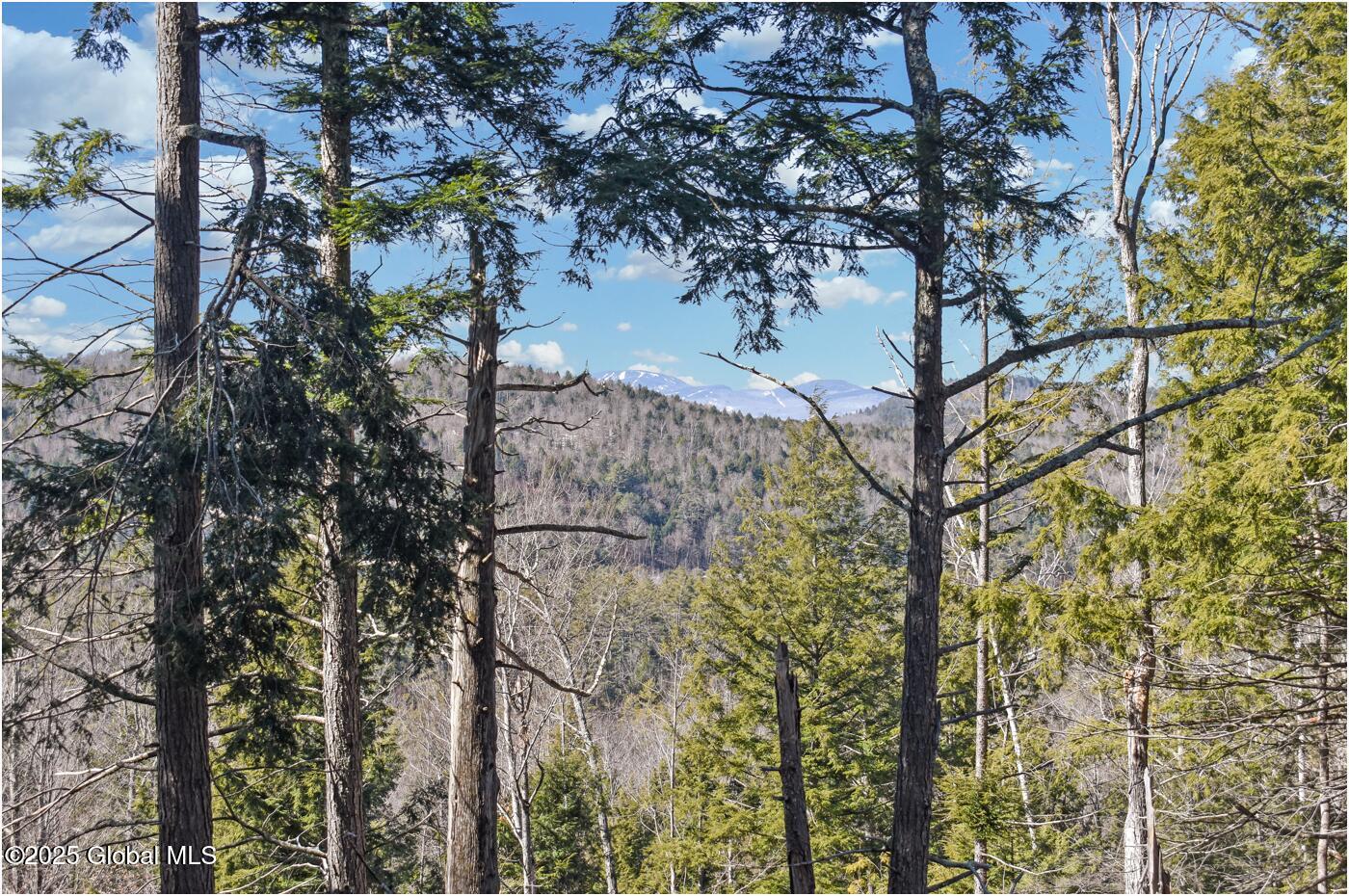 L16 Mountain Meadows Road Adirondack, NY 12808 - Photo 3 of 16 mm45