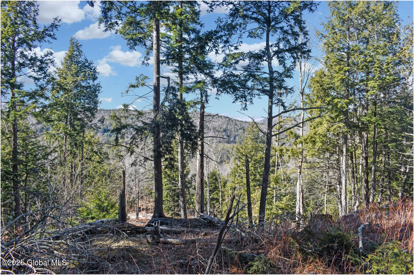 L16 Mountain Meadows Road Adirondack, NY 12808 - Photo 4 of 16 mm44