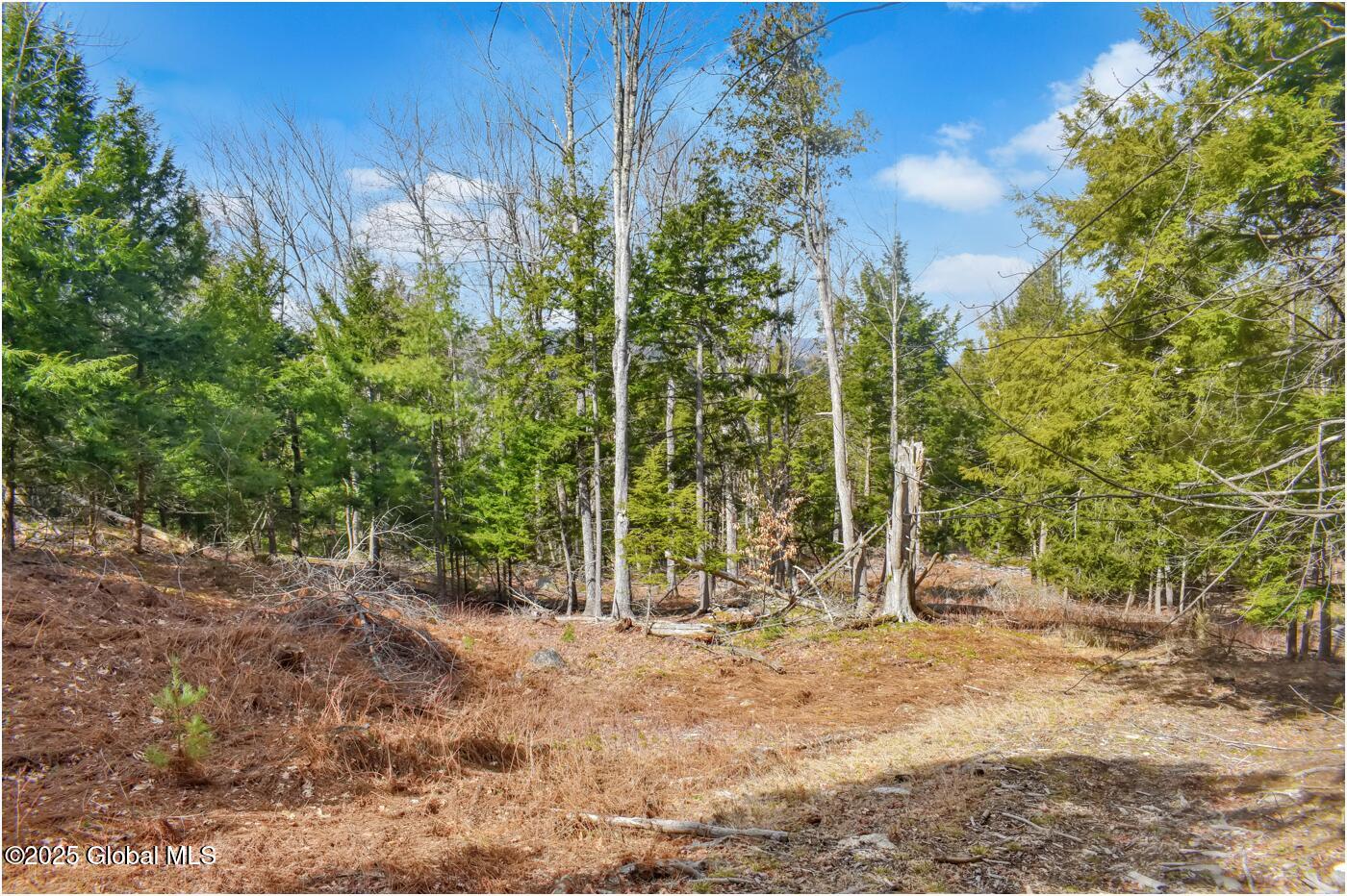 L16 Mountain Meadows Road Adirondack, NY 12808 - Photo 6 of 16 Cover