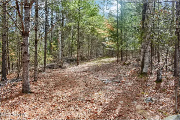 $95,500 | L16 Mountain Meadows Road, Adirondack, NY 12808