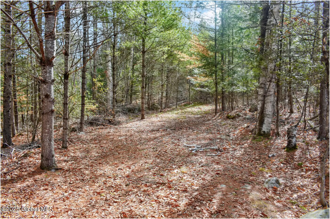 L16 Mountain Meadows Road Adirondack, NY 12808 - Photo 7 of 16 mm27