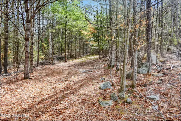 $95,500 | L16 Mountain Meadows Road, Adirondack, NY 12808