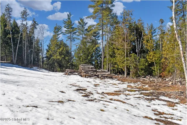 $95,500 | L16 Mountain Meadows Road, Adirondack, NY 12808