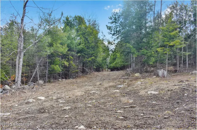 $95,500 | L16 Mountain Meadows Road, Adirondack, NY 12808