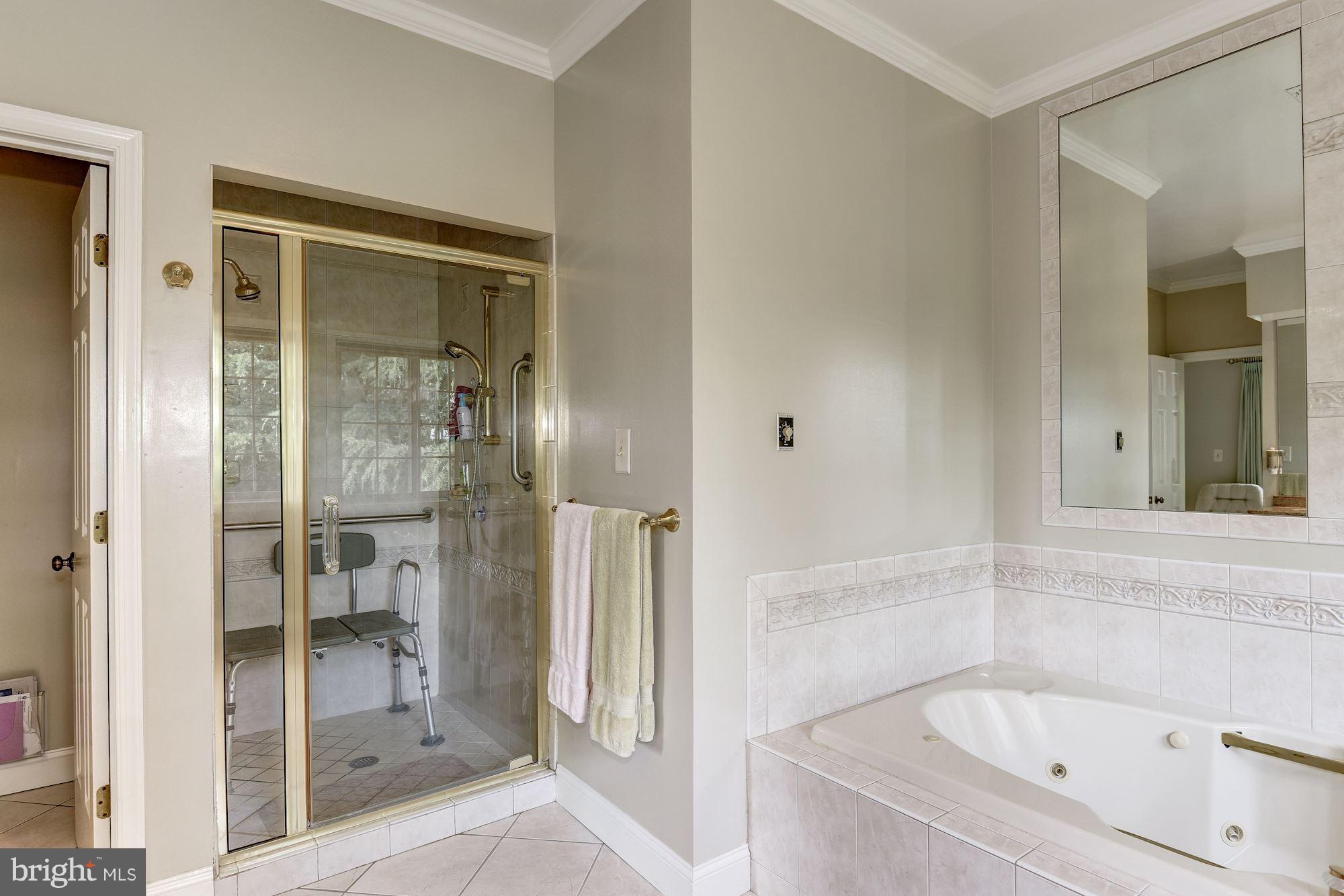 10918 Brent Road Potomac, MD 20854 - Photo 13 of 29 Bath (Master)