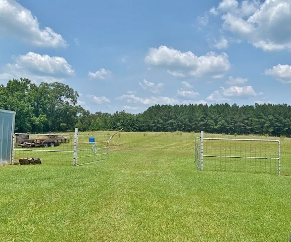 323 Ginntown Road Tylertown, MS 39667 - Photo 30 of 39 Photo 30