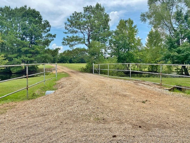 323 Ginntown Road Tylertown, MS 39667 - Photo 3 of 39 Photo 3