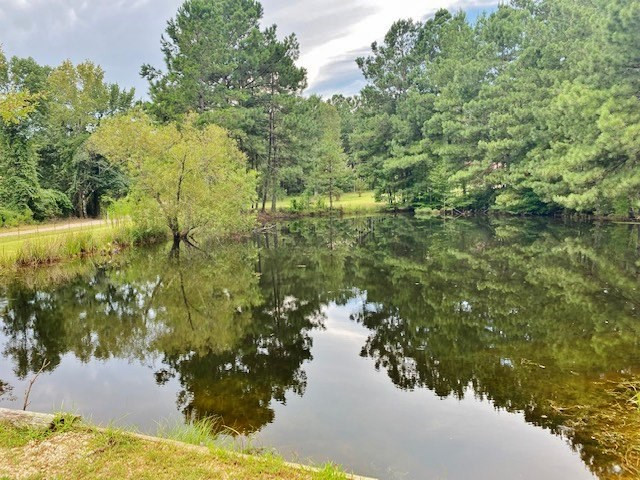 323 Ginntown Road Tylertown, MS 39667 - Photo 31 of 39 Photo 31