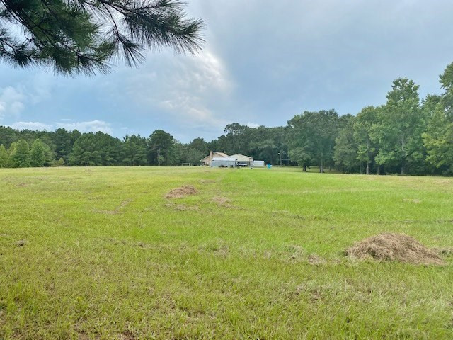 323 Ginntown Road Tylertown, MS 39667 - Photo 32 of 39 Photo 32