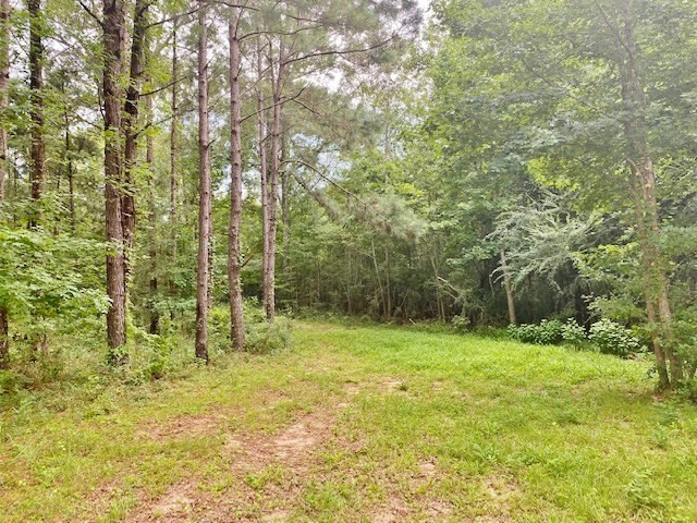 323 Ginntown Road Tylertown, MS 39667 - Photo 33 of 39 Photo 33
