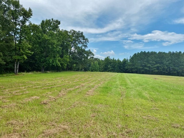 323 Ginntown Road Tylertown, MS 39667 - Photo 34 of 39 Photo 34